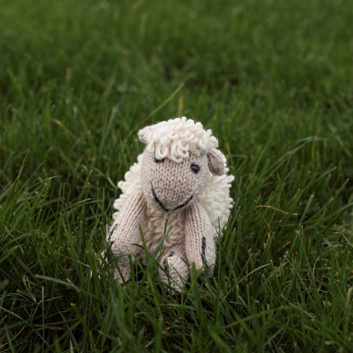 Shepley the Handknit Sheep - Natural & Oatmeal