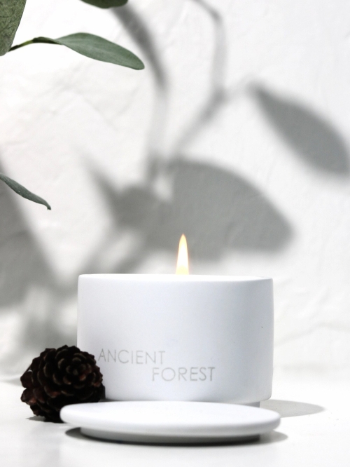 Rowan Beg Designs Ancient Forest Soy Candle
